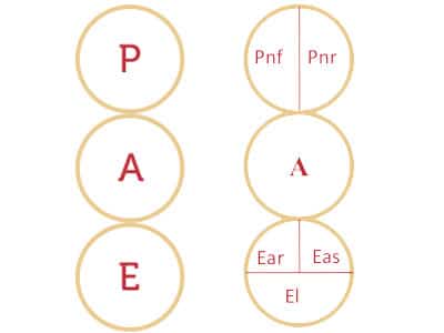 Schéma représentant les états du Moi selon l’analyse transactionnelle et la théorie organisationnelle de Berne, symbolisant les formations proposées par Leaderseed.