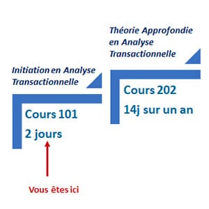 Schéma illustrant les étapes de formation en Analyse Transactionnelle, mettant en avant le Cours 101 d’introduction de 2 jours proposé par Leaderseed.