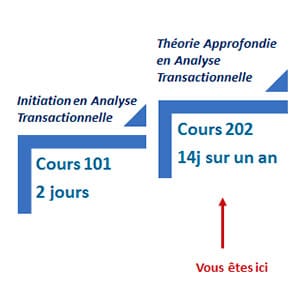 Schéma illustrant le parcours de formation en Analyse Transactionnelle, mettant en avant le Cours 202 de 14 jours sur un an proposé par Leaderseed.